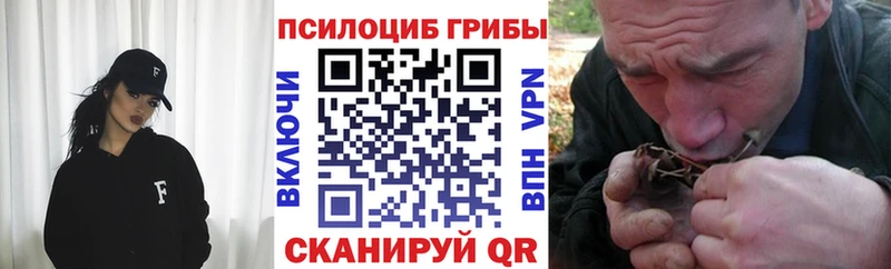 Купить закладки  Добрянка  Псилоцибиновые грибы Psilocybe 