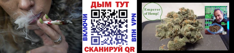 Купить  Добрянка  Бошки Шишки сатива 